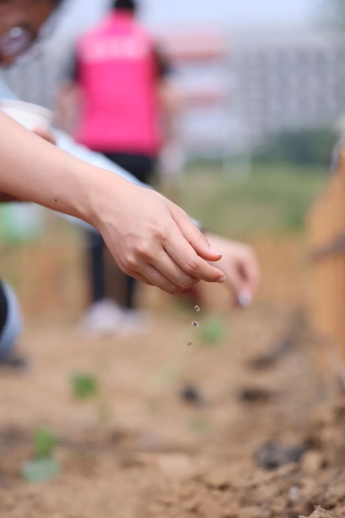 F6福鹿会_官方网站app下载