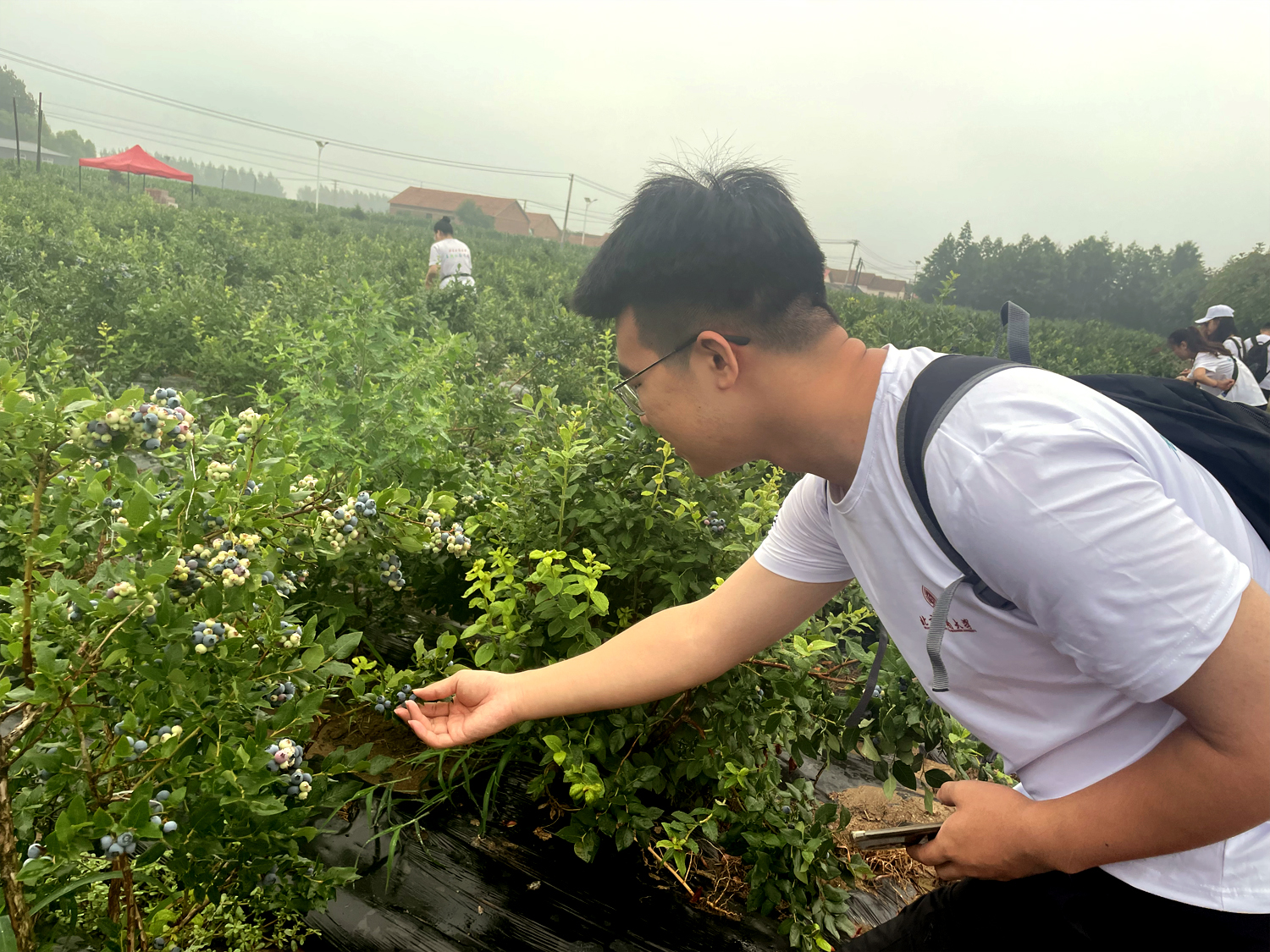 F6福鹿会_官方网站app下载