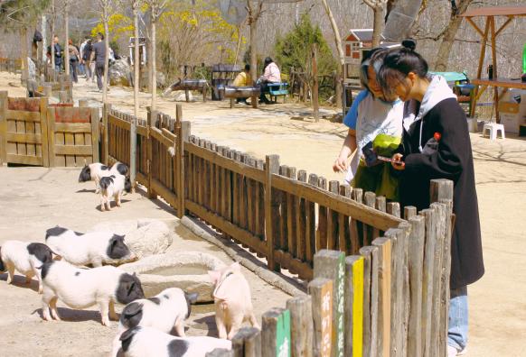 F6福鹿会_官方网站app下载