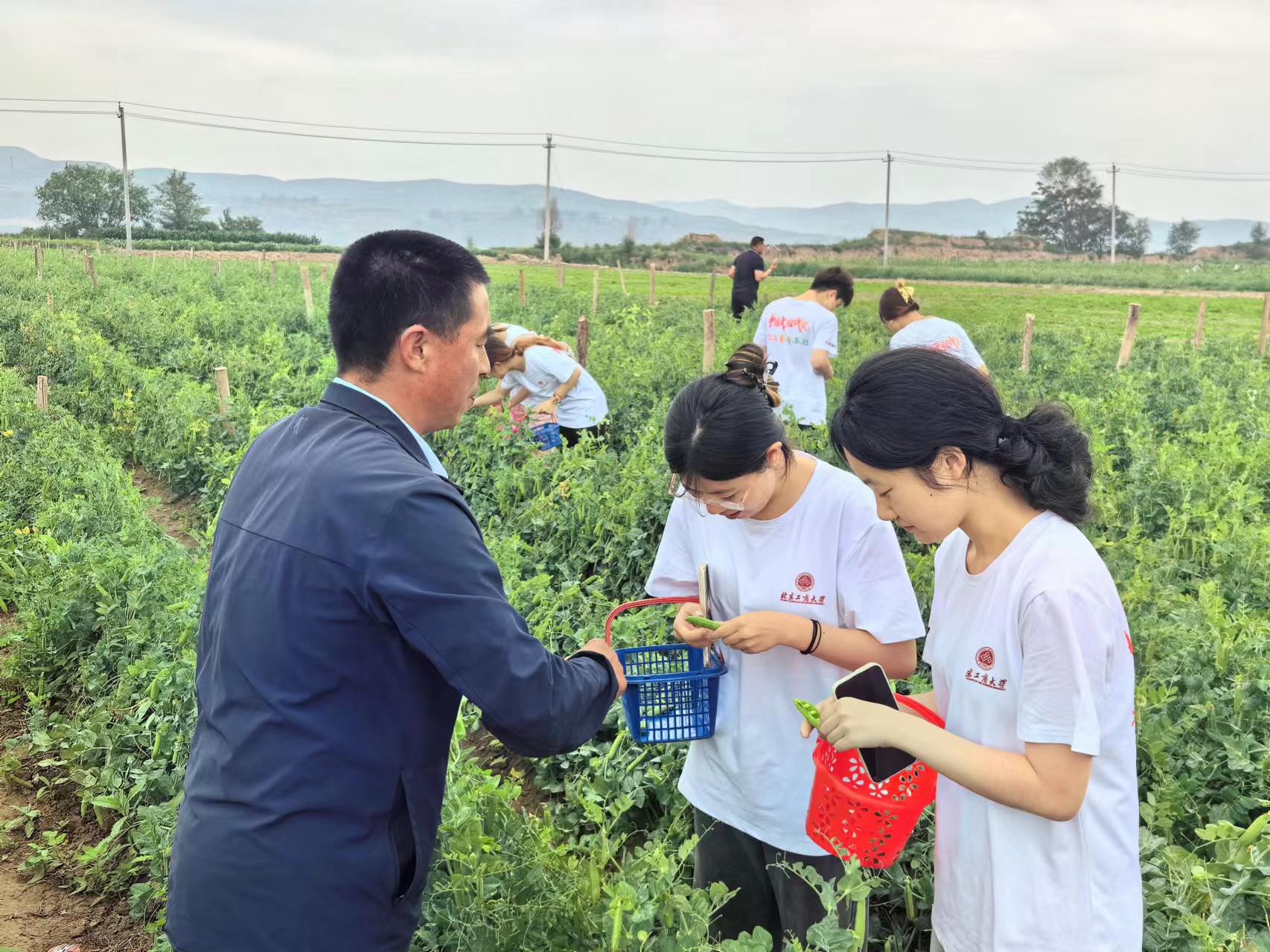 F6福鹿会_官方网站app下载