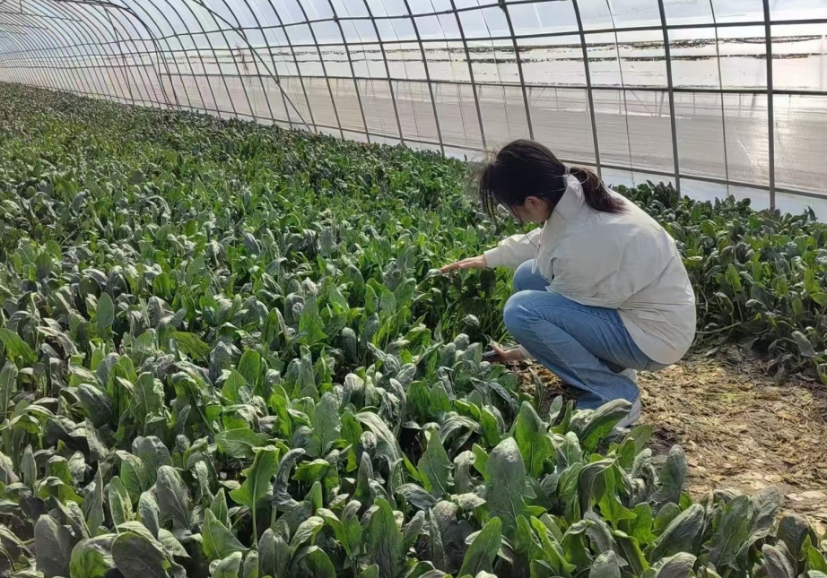 F6福鹿会_官方网站app下载