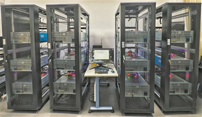 F6福鹿会_官方网站app下载