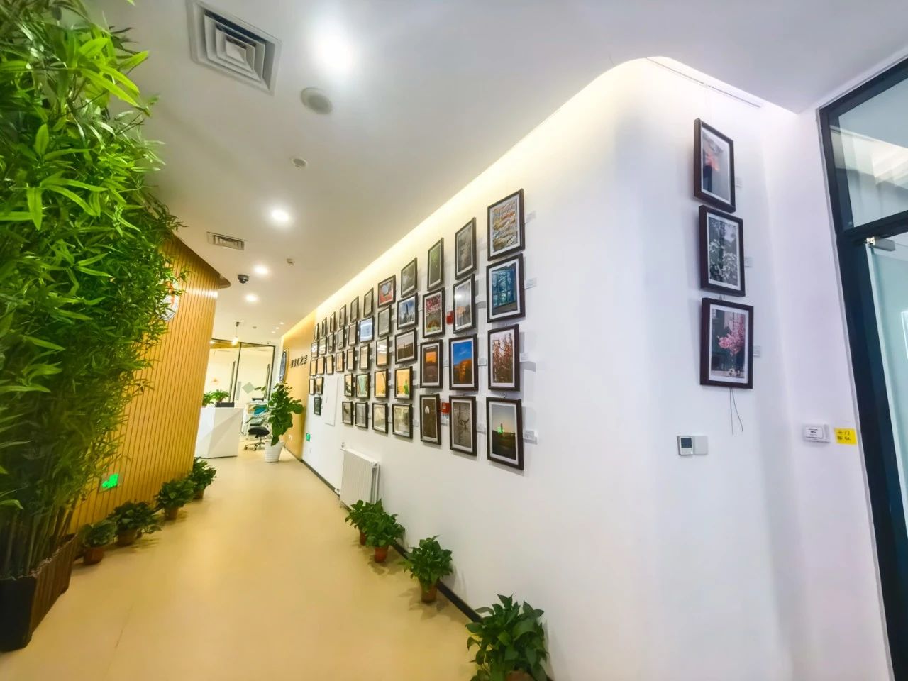 F6福鹿会_官方网站app下载