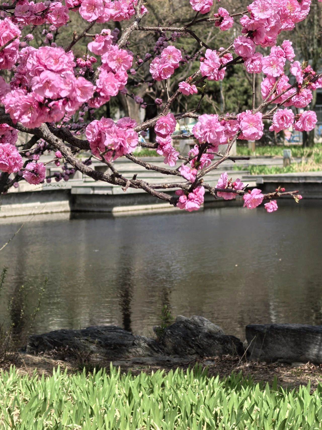 F6福鹿会_官方网站app下载