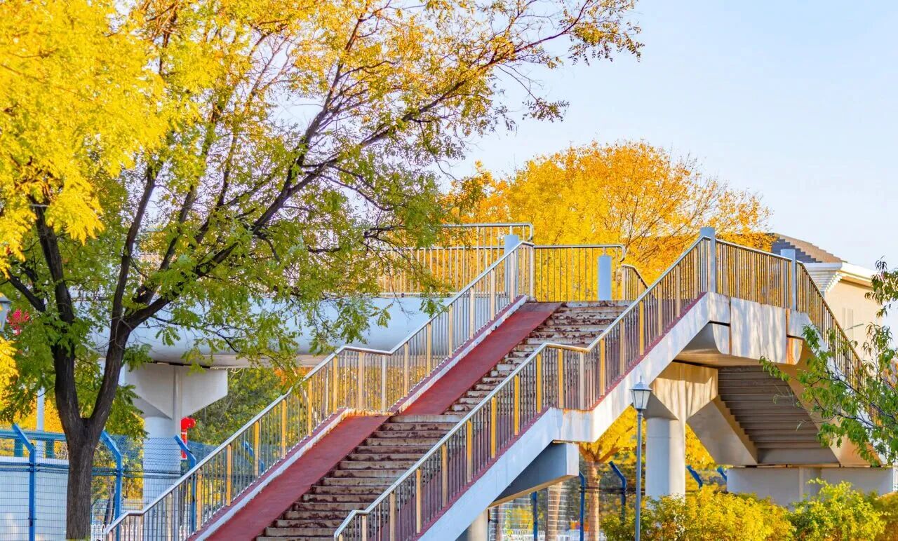 F6福鹿会_官方网站app下载