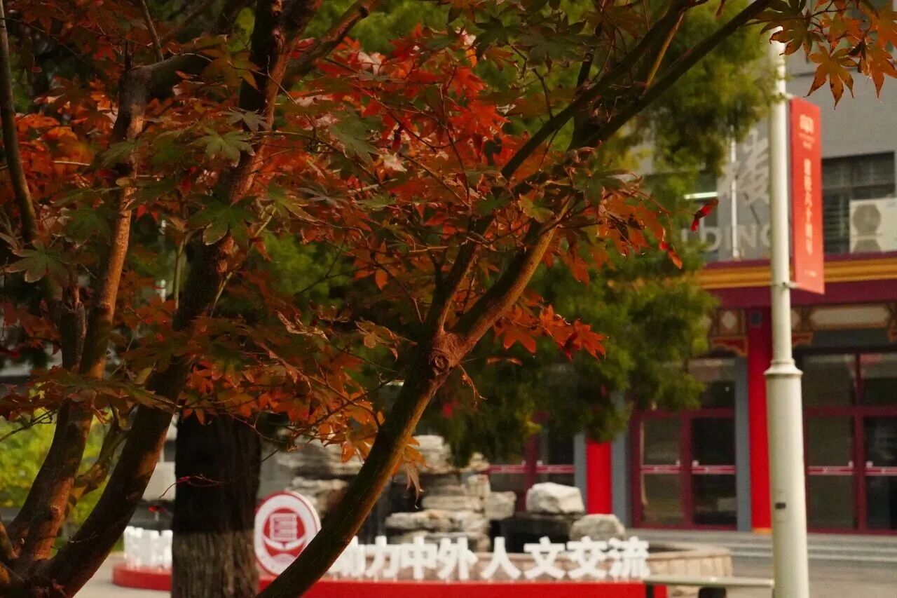 F6福鹿会_官方网站app下载