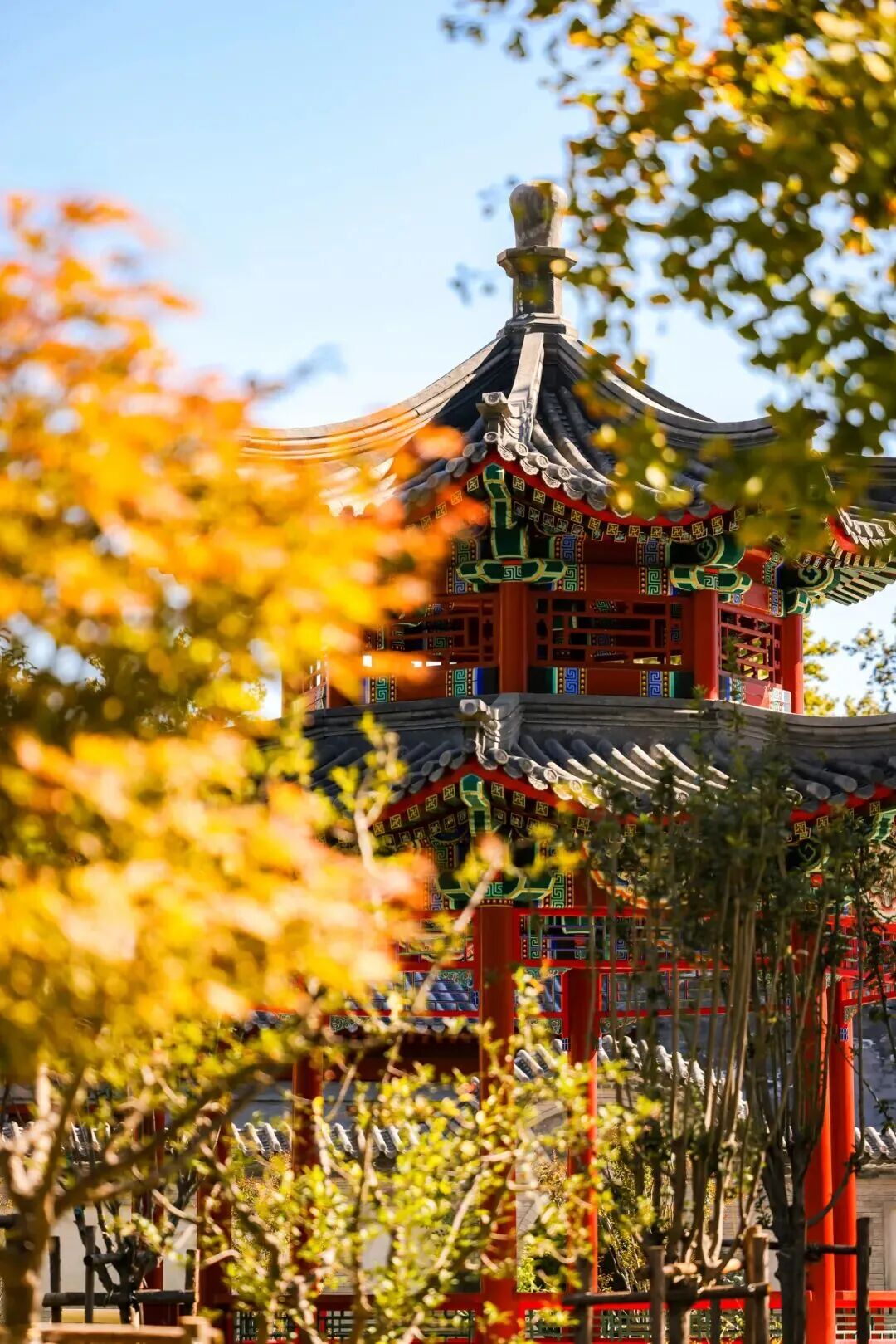 F6福鹿会_官方网站app下载