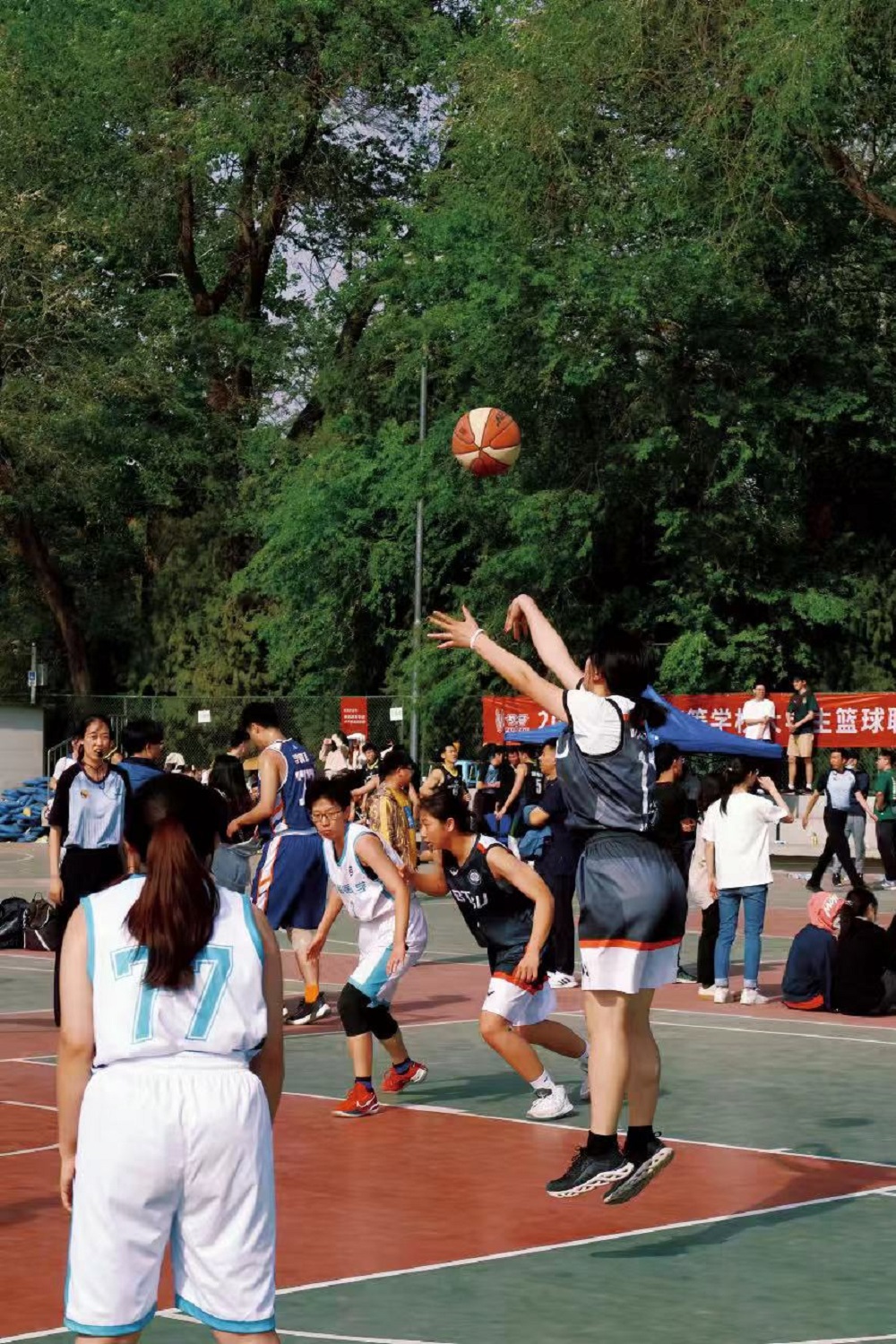 F6福鹿会_官方网站app下载