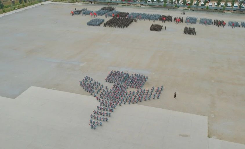 F6福鹿会_官方网站app下载