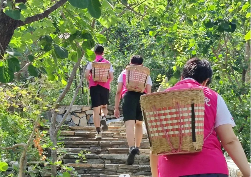 F6福鹿会_官方网站app下载