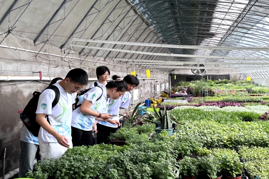 F6福鹿会_官方网站app下载