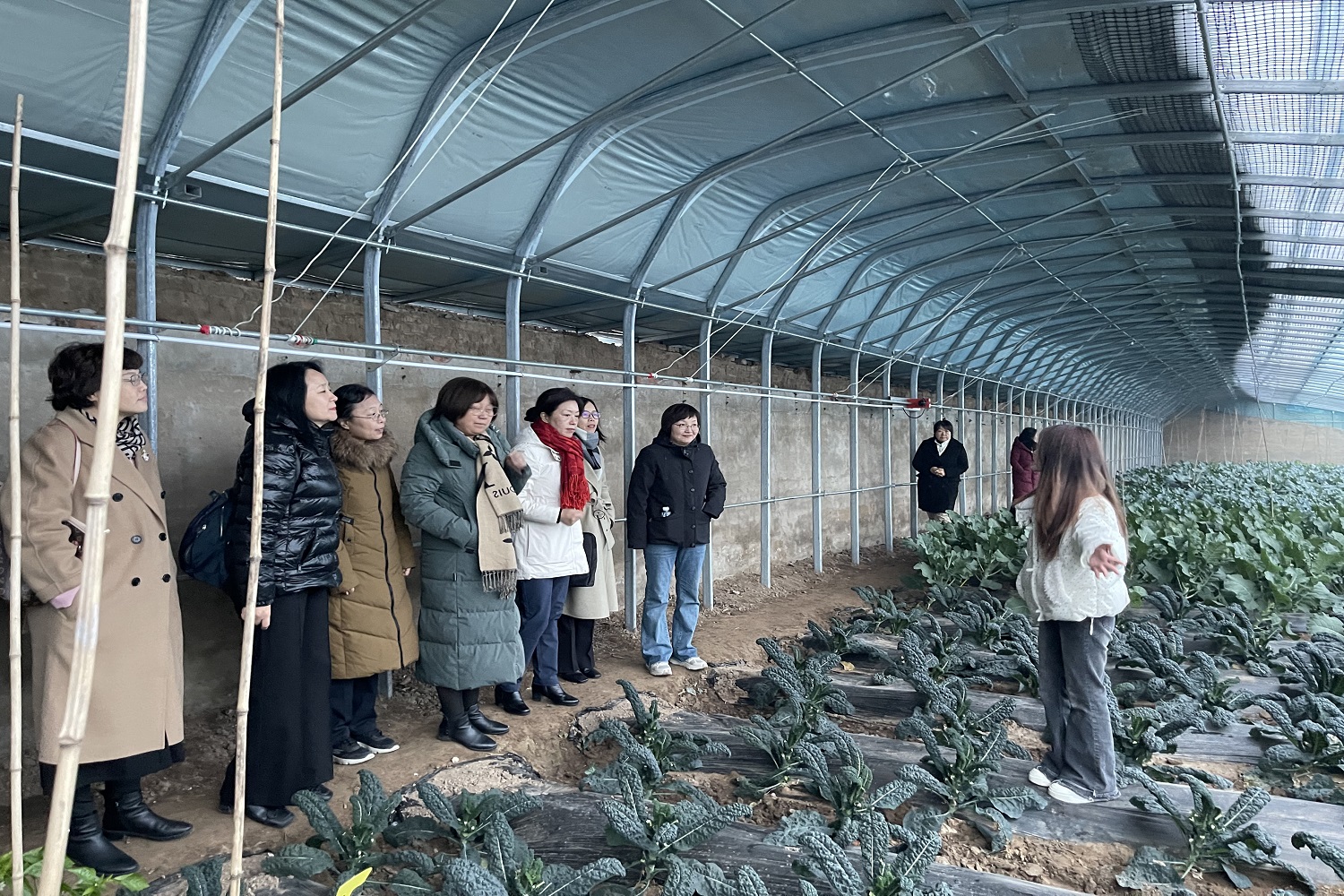 F6福鹿会_官方网站app下载