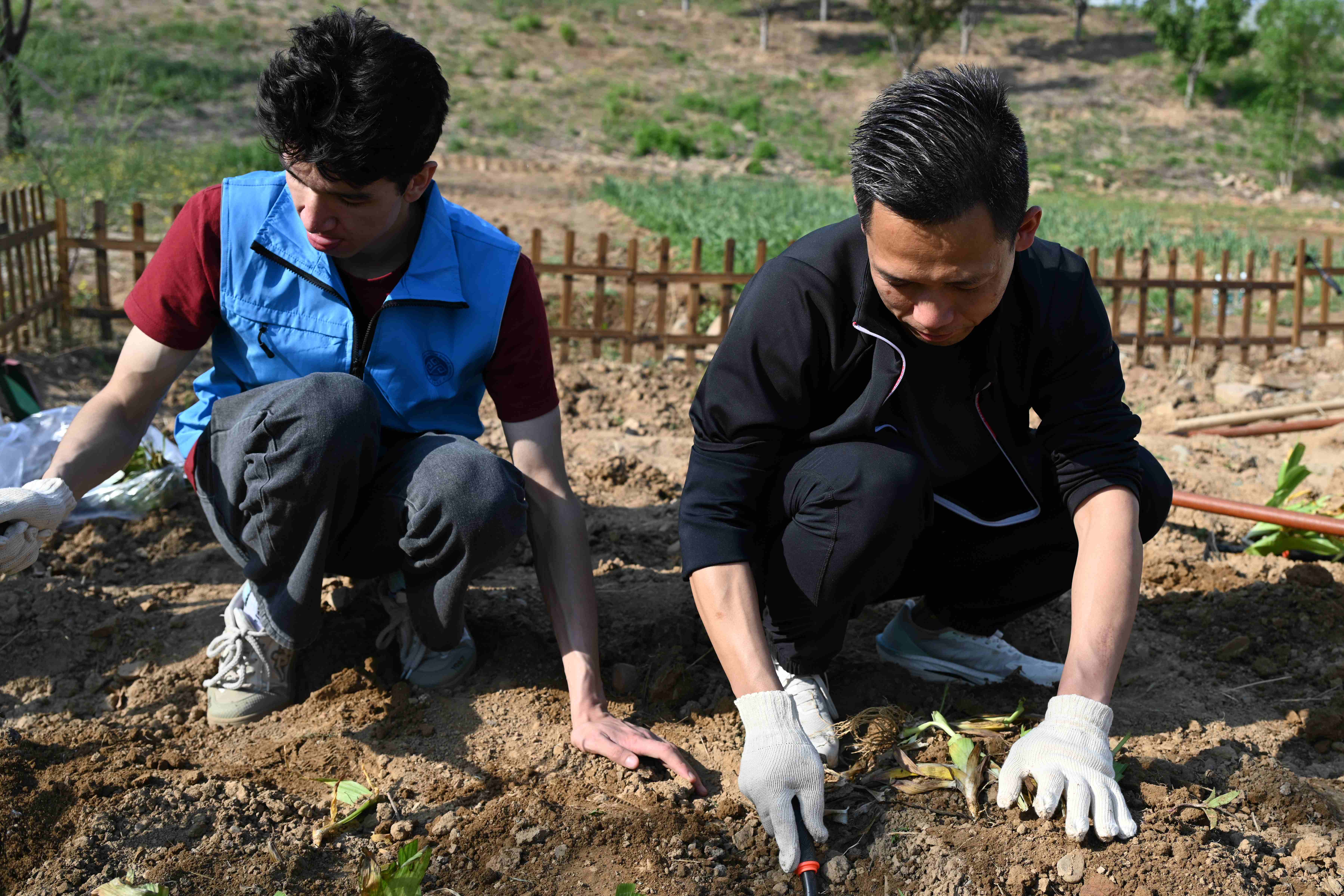 F6福鹿会_官方网站app下载