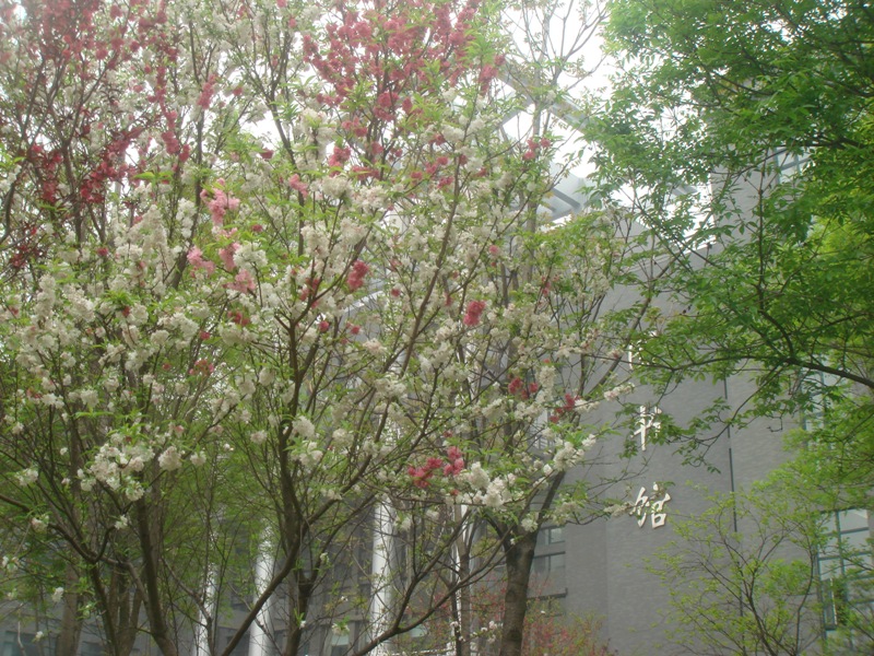 F6福鹿会_官方网站app下载