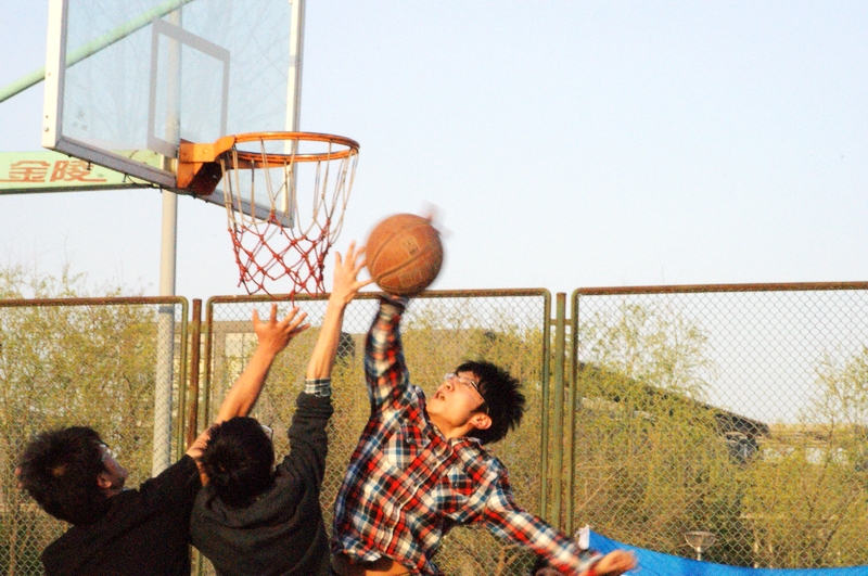 F6福鹿会_官方网站app下载