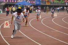 F6福鹿会_官方网站app下载