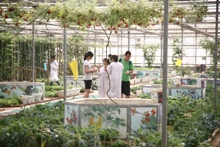 F6福鹿会_官方网站app下载