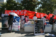 F6福鹿会_官方网站app下载