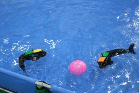 F6福鹿会_官方网站app下载