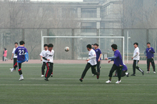 F6福鹿会_官方网站app下载