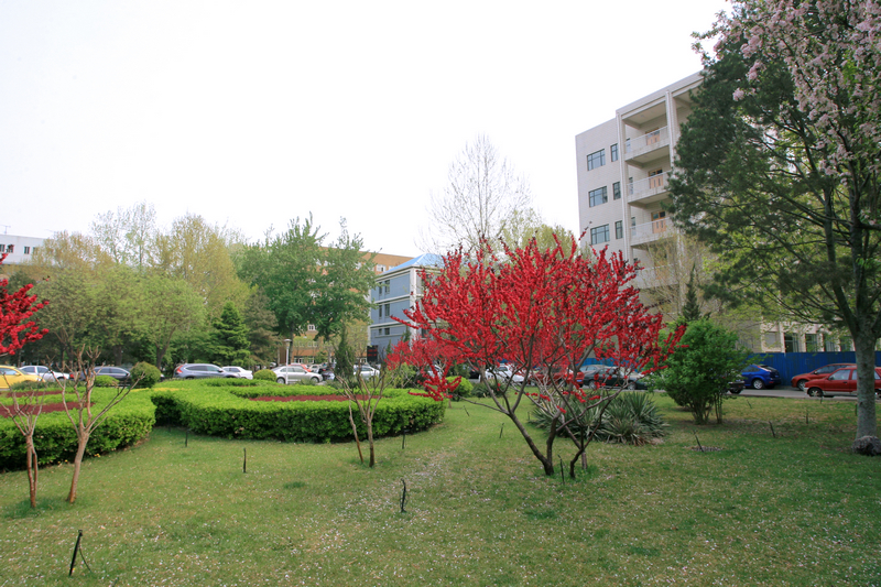 F6福鹿会_官方网站app下载