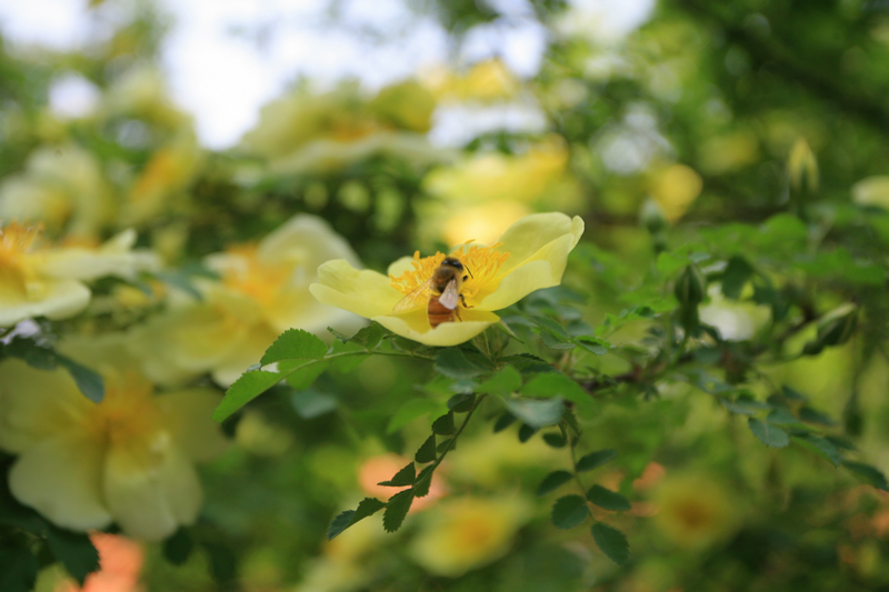 F6福鹿会_官方网站app下载