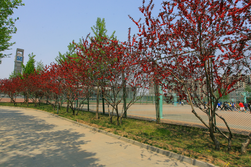 F6福鹿会_官方网站app下载