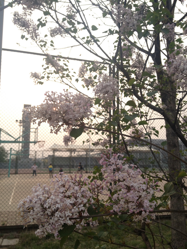 F6福鹿会_官方网站app下载