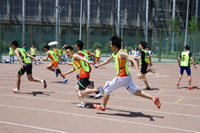 F6福鹿会_官方网站app下载