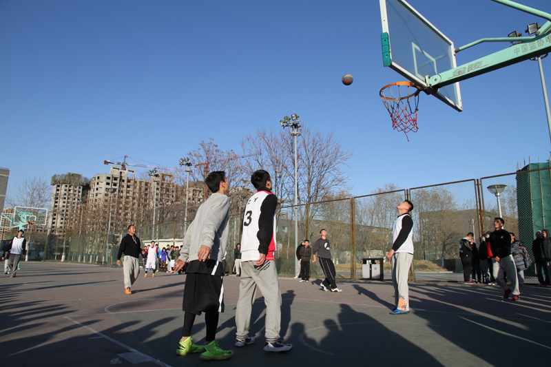 F6福鹿会_官方网站app下载