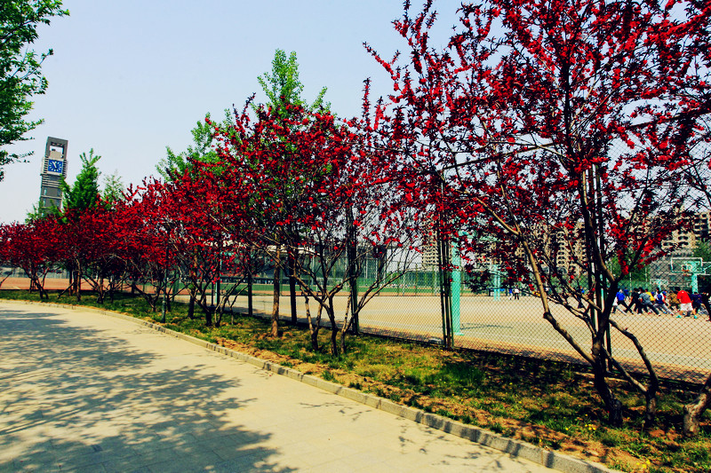 F6福鹿会_官方网站app下载