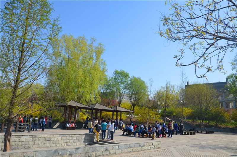 F6福鹿会_官方网站app下载