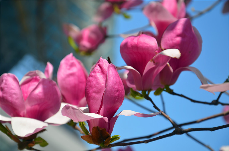 F6福鹿会_官方网站app下载