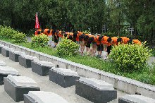 F6福鹿会_官方网站app下载