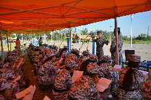 F6福鹿会_官方网站app下载