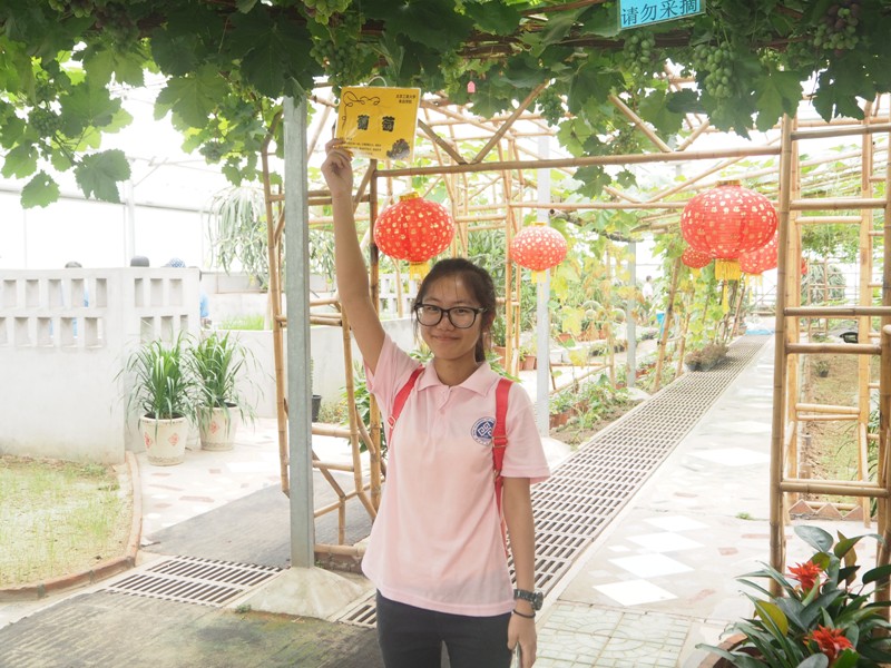 F6福鹿会_官方网站app下载