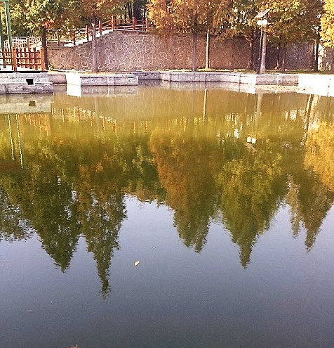 F6福鹿会_官方网站app下载