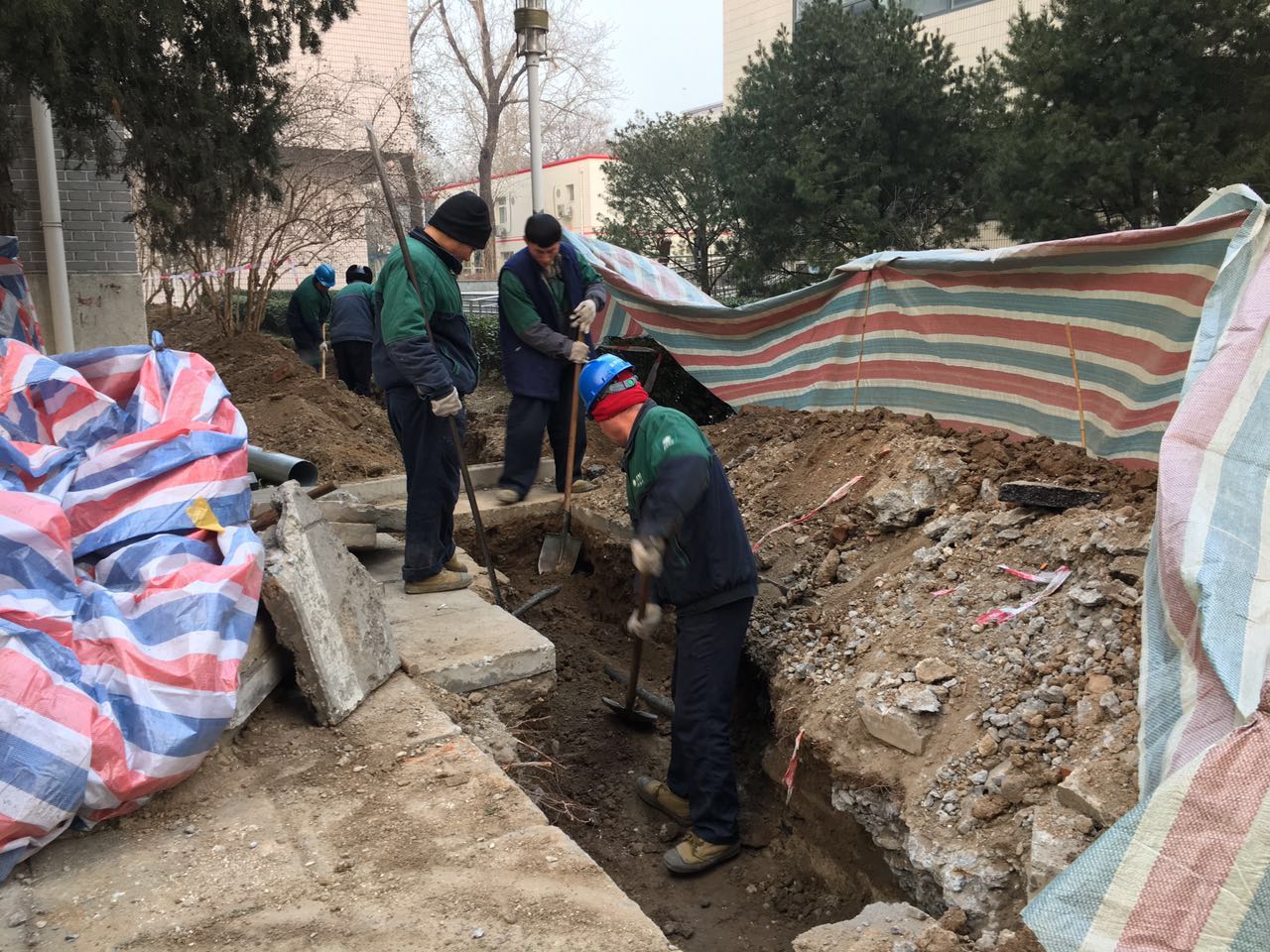 F6福鹿会_官方网站app下载