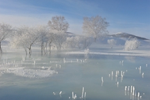 F6福鹿会_官方网站app下载